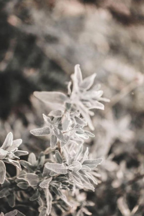 Candela profumata Winterzeit