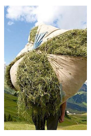 Duschgel Trehs Bergheu